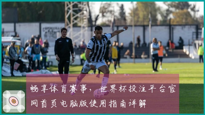 畅享体育赛事,世界杯投注平台官网首页电脑版使用指南详解