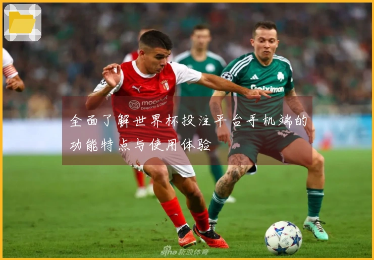 全面了解世界杯投注平台手机端的功能特点与使用体验