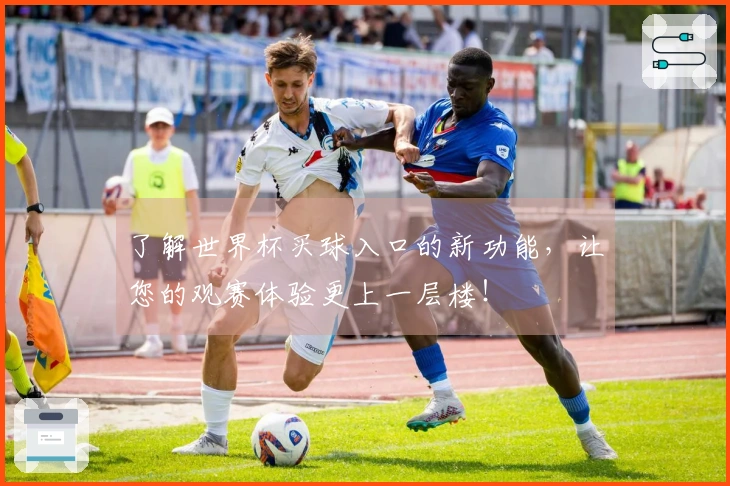 了解世界杯买球入口的新功能，让您的观赛体验更上一层楼！