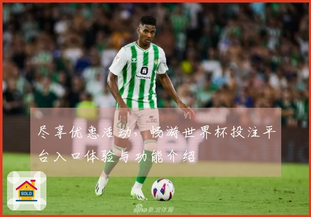 尽享优惠活动,畅游世界杯投注平台入口体验与功能介绍