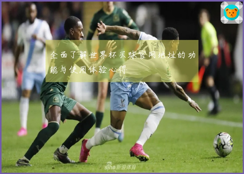 全面了解世界杯买球官网地址的功能与使用体验心得