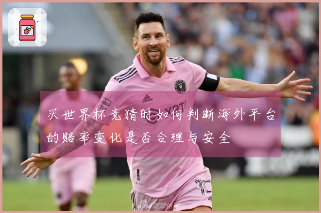 买世界杯竞猜时如何判断海外平台的赔率变化是否合理与安全