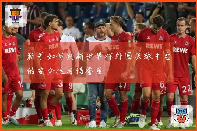 新手如何判断世界杯外围买球平台的安全性与信誉度