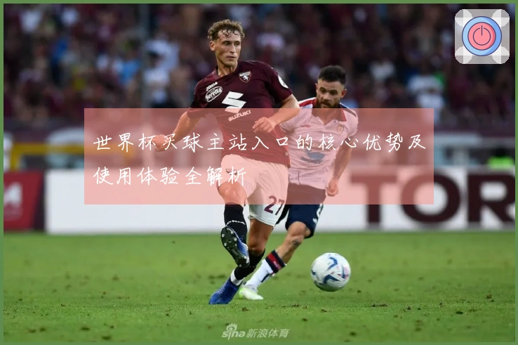 世界杯买球主站入口的核心优势及使用体验全解析
