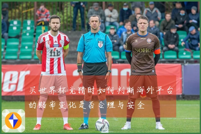 买世界杯竞猜时如何判断海外平台的赔率变化是否合理与安全