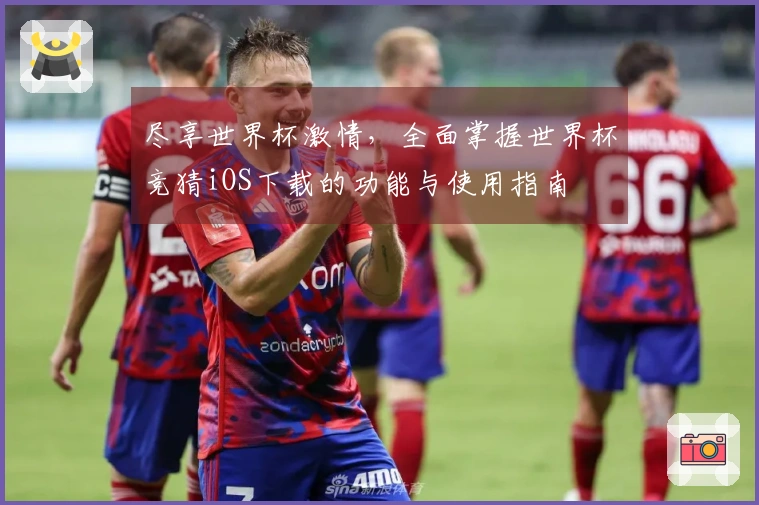 尽享世界杯激情，全面掌握世界杯竞猜iOS下载的功能与使用指南